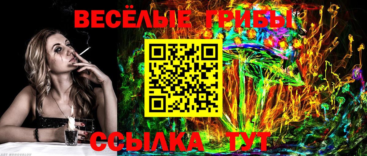 Туймазы  Псилоцибиновые грибы Magic Shrooms  Вход с VPN 